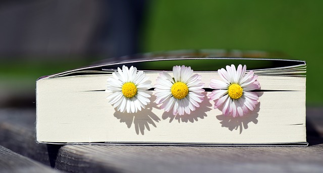 Titelbild Literaturverfilmung